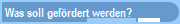 Was soll gefrdert werden?